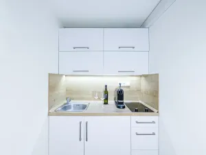 Pronájem bytu 1+kk, Zlín, Vejvanovská, 20 m2