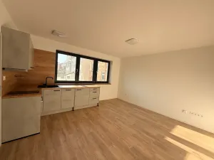 Pronájem bytu 1+kk, České Budějovice, Štítného, 27 m2
