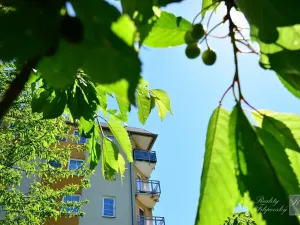 Prodej bytu 2+1, Chlumec, Stradovská, 64 m2