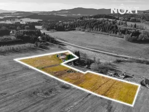 Prodej louky, Hořice na Šumavě, 27801 m2