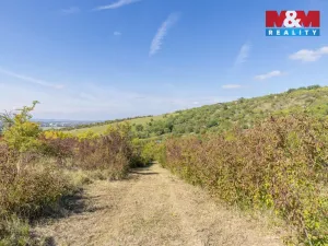 Prodej zahrady, Židlochovice, 3718 m2