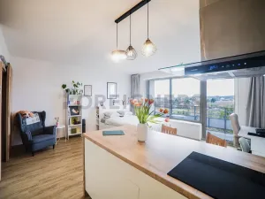 Prodej bytu 1+kk, Olomouc, Loudova, 36 m2