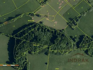 Prodej lesa, Nový Jičín, Na Samotě, 13092 m2