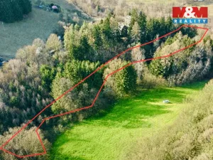 Prodej lesa, Dolní Dobrouč - Lanšperk, 4113 m2