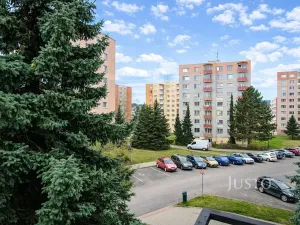 Prodej bytu 1+1, Písek, třída Přátelství, 38 m2