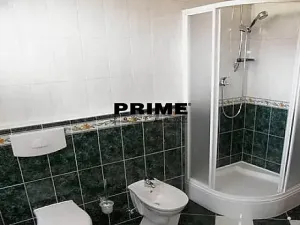 Pronájem rodinného domu, Praha - Nebušice, Druhého odboje, 390 m2