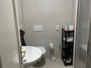 Pronájem bytu 2+kk, Praha - Žižkov, Jeseniova, 45 m2