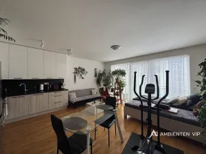 Pronájem bytu 1+kk, Brno, Božetěchova, 52 m2