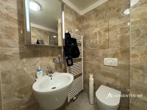 Pronájem bytu 1+kk, Brno, Božetěchova, 52 m2