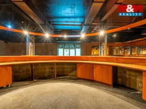 Prodej obchodního prostoru, Praha, Trnkovo náměstí, 324 m2