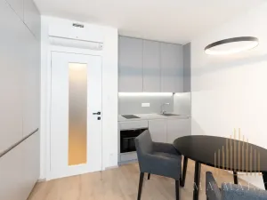 Pronájem bytu 1+kk, Praha - Žižkov, Jana Želivského, 39 m2