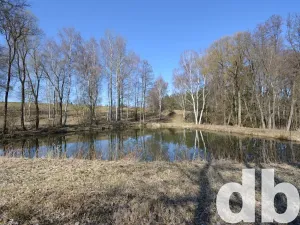 Prodej rybníku, Toužim, 5506 m2