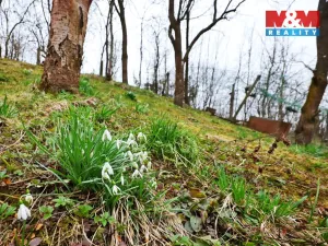 Prodej chaty, Jemnice, 16 m2