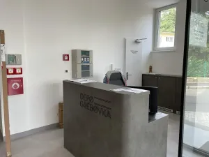 Pronájem bytu 1+kk, Praha - Vinohrady, Perucká, 25 m2