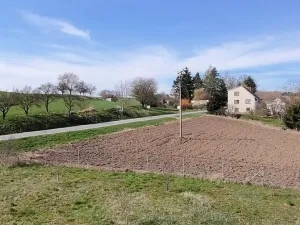 Prodej pozemku pro bydlení, Letovice, 853 m2