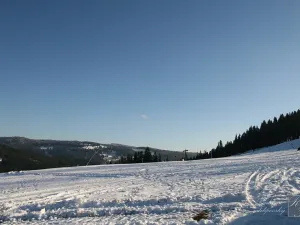 Prodej pozemku pro bydlení, Kraslice, Pod lesem, 630 m2