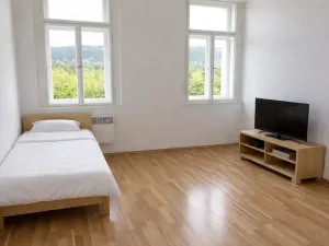 Pronájem bytu 1+kk, Praha - Holešovice, Kamenická, 20 m2