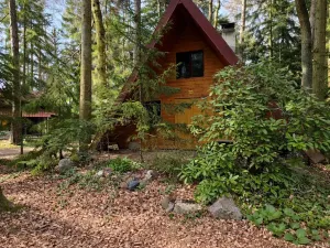 Prodej chaty, Jevany, Ve Smrčinách, 55 m2