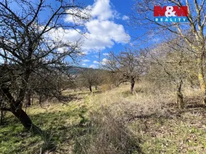 Prodej pole, Sušice - Sušice II, 5140 m2