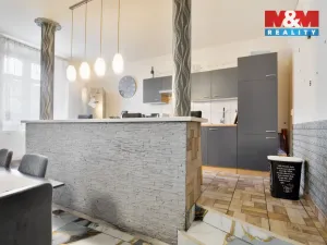 Prodej činžovního domu, Ústí nad Labem - Předlice, Hrbovická, 435 m2