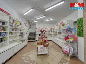 Pronájem obchodního prostoru, Plzeň - Vnitřní Město, Bedřicha Smetany, 304 m2