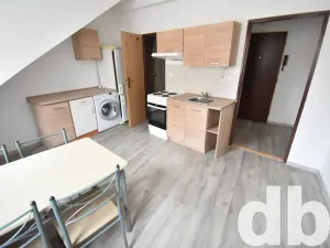 Pronájem bytu 1+1, Karlovy Vary, Sokolovská, 60 m2