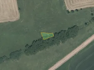 Prodej louky, Nesvačily, 9239 m2