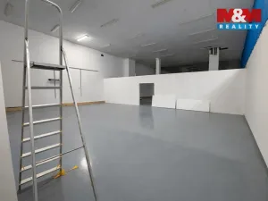 Pronájem skladu, Praha - Strašnice, K Červenému dvoru, 42 m2