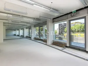 Pronájem obchodního prostoru, Praha - Nusle, Lomnického, 44 m2