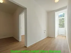 Pronájem bytu 1+1, Praha - Vinohrady, Písecká, 52 m2