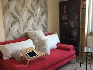 Prodej ubytování, Olomouc, Rejskova, 154 m2