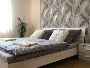 Prodej rodinného domu, Olomouc, Rejskova, 143 m2