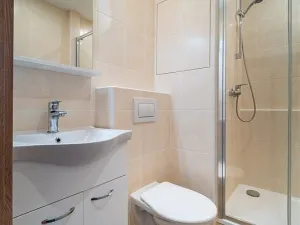 Pronájem bytu 1+kk, České Budějovice - České Budějovice 3, Plzeňská, 21 m2