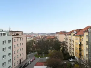 Pronájem bytu 1+kk, Praha - Nusle, Čiklova, 30 m2