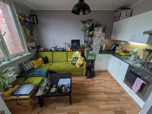 Prodej bytu 1+1, Chomutov, Hornická, 35 m2