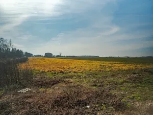 Prodej pozemku pro bydlení, Chudeřice, 1000 m2