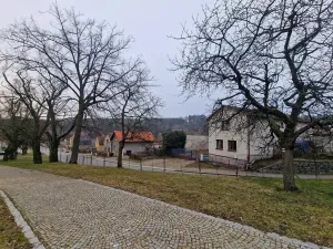 Prodej rodinného domu, Svojšín, 230 m2