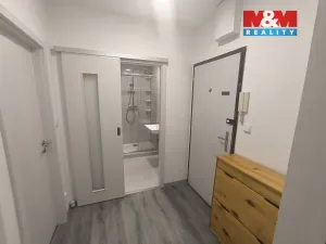 Pronájem bytu 2+kk, Ústí nad Labem - Severní Terasa, Šrámkova, 40 m2