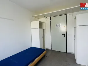 Prodej, Planá, 300 m2