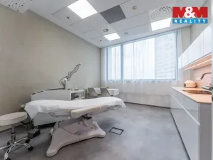 Pronájem komerční nemovitosti, Praha, Jihlavská, 30 m2