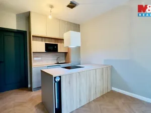 Pronájem bytu 2+kk, Opava - Předměstí, Riegrova, 56 m2