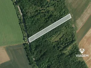 Prodej lesa, Silůvky, 3372 m2