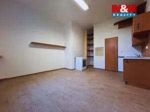 Pronájem bytu 1+kk, Vyškov - Vyškov-Město, Brněnská, 20 m2