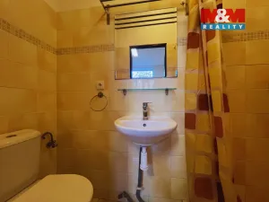 Pronájem bytu 1+kk, Vyškov - Vyškov-Město, Brněnská, 20 m2