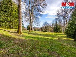 Prodej pozemku pro bydlení, Velká Bukovina, 4466 m2