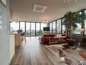 Pronájem bytu 1+kk, Olomouc, Kubíčkova, 97 m2