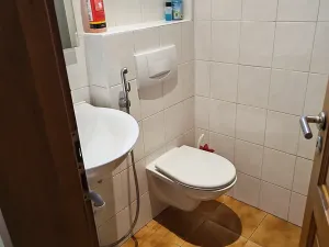 Prodej rodinného domu, Ublo, 350 m2