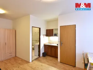 Pronájem bytu 1+kk, Brandýs nad Labem-Stará Boleslav - Stará Boleslav, Na dolíku, 30 m2