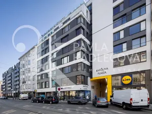 Prodej bytu 4+kk, Praha - Karlín, Sokolovská, 120 m2