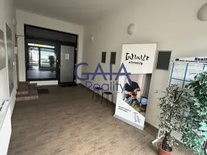 Pronájem obchodního prostoru, Hodonín, Příční, 364 m2